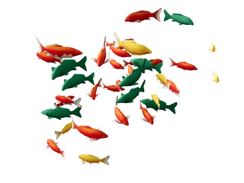 Carp Goldfish