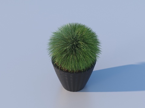 flowerpot potted plant green plant