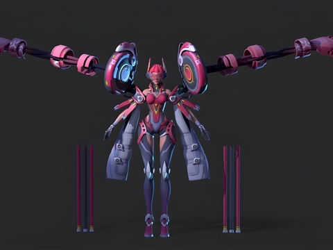 Mecha Lady Role