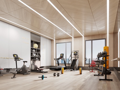 Modern small gym