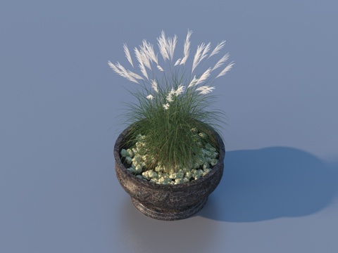 flowerpot potted plant green plant