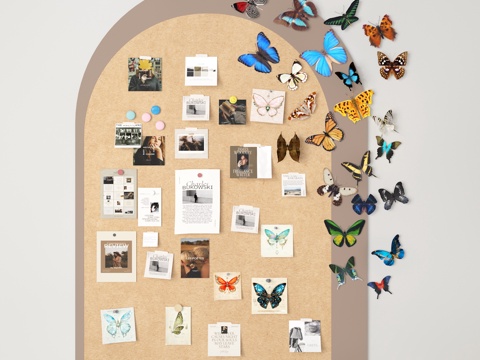 scratchpad board cork board butterfly photo wall