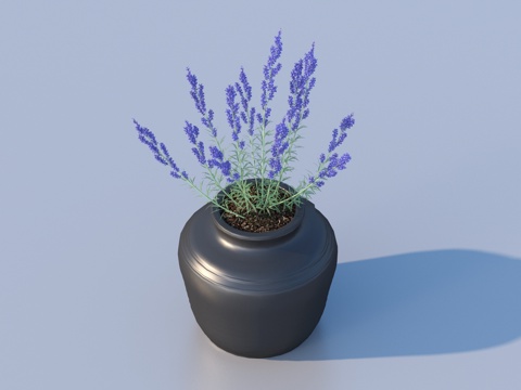 flowerpot potted plant green plant