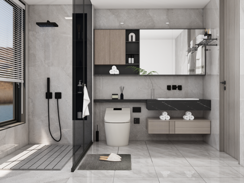 Modern Toilet Bathroom