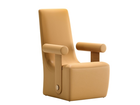 Affordable Luxury Style Lounge Chair