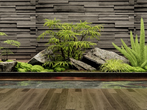 indoor landscape plant landscaping