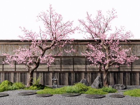 landscape tree courtyard tree flower tree