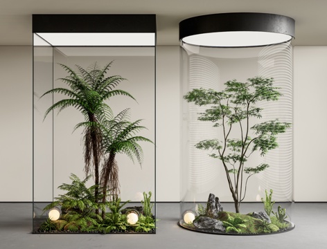 Indoor landscape landscaping plant pile