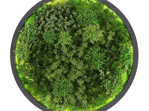 Green Plant Wall Ornament Round Hanging Ornament