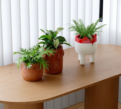 Modern Green Plant Potted Plant Desktop Small Potted Plant