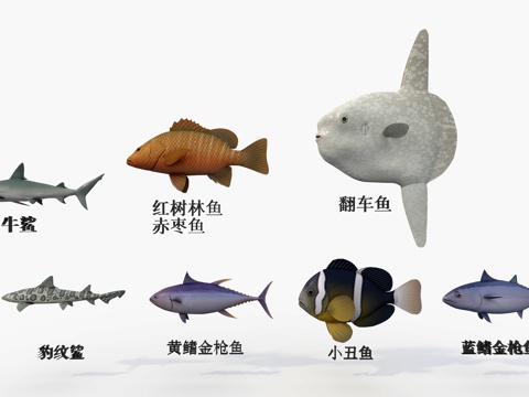 Seven kinds of marine fish