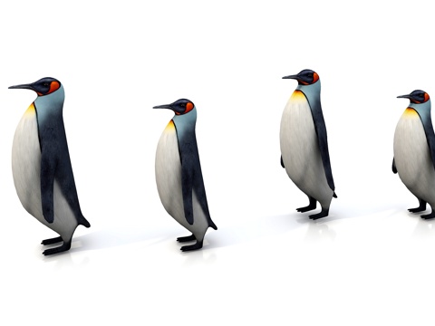 Penguin