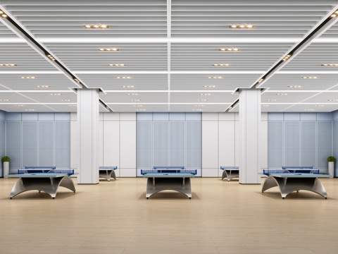 Modern School Table Tennis Hall