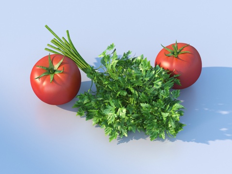 Tomato Tomato Vegetable with Cilantro