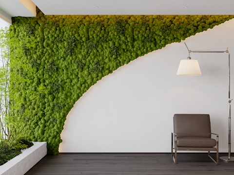 plant wall green plant wall moss wall