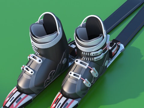 Ski Shoes Snowboard Ski Pole