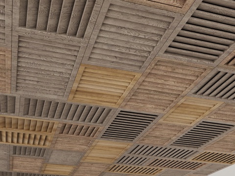 Modern Ceiling