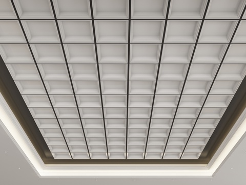 Modern Ceiling