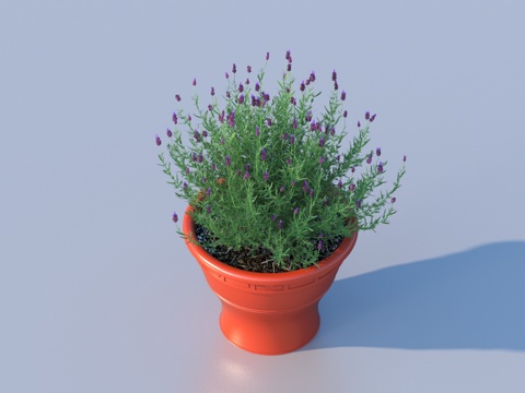 flowerpot potted plant green plant