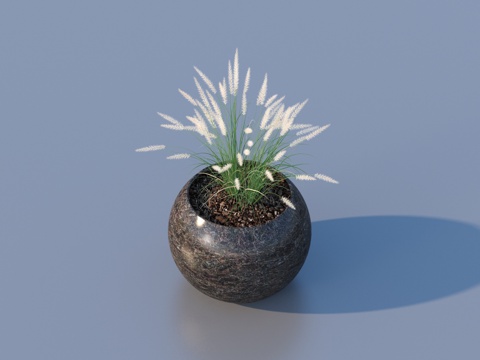 flowerpot potted plant green plant