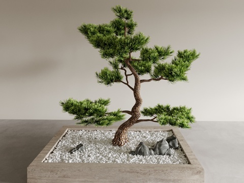 Bonsai Bonsai Welcoming Pine Entrance Ornaments Plant Ornaments