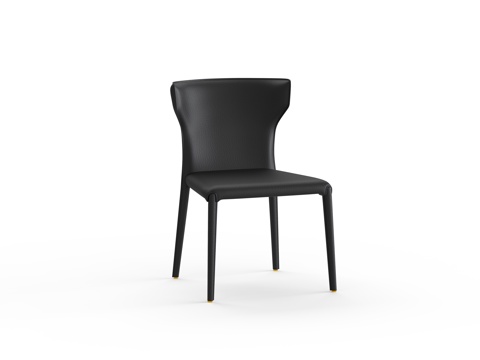 Dining Chair Lounge Chair