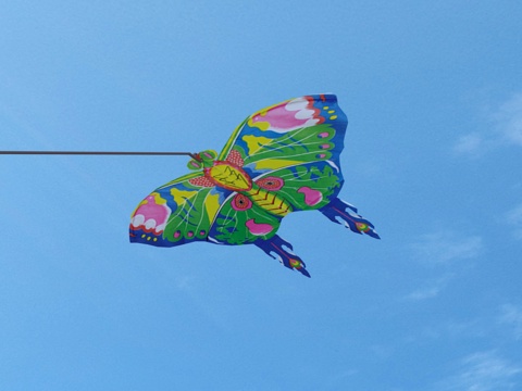 Kite Toy Decoration