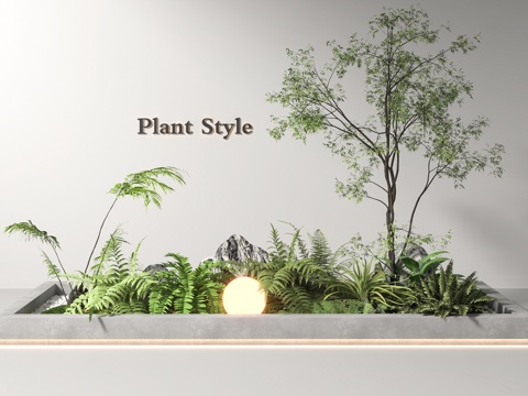 Plant combination Pteridophyte landscape plant landscaping flower pond micro landscape landscape sketch