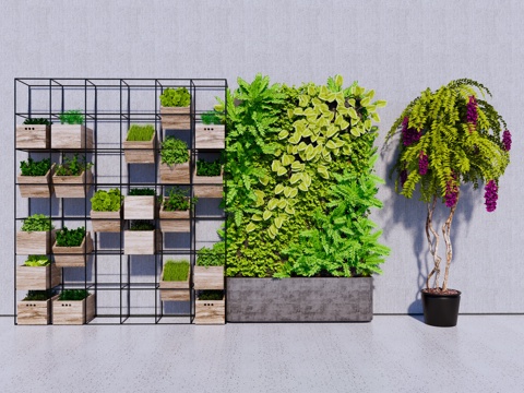 green plant wall big leaf green plant tropical plant big potted plant green plant