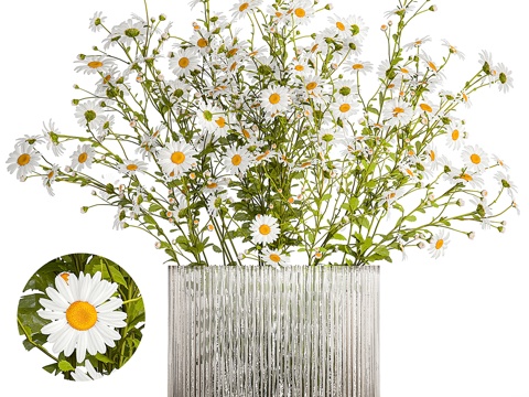 Modern Vase Flower Art Chamomile Zou Ju