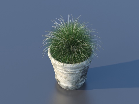 flowerpot potted plant green plant