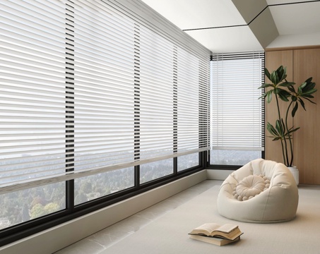 Venetian blinds, floor-to-ceiling windows, balcony, Beanbag, green plants, potted plants