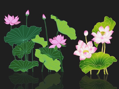 National tide carved flower, plant silhouette, lotus, lotus, lotus leaf, flower, national wind, carp, fish,