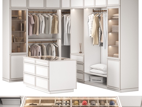 Modern Affordable Luxury Style Open Wardrobe