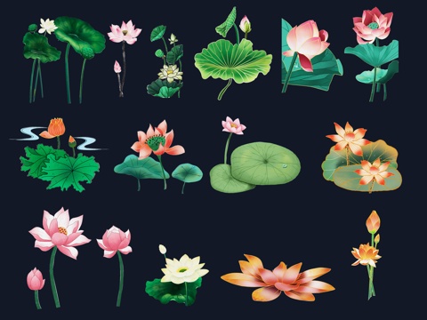 National tide carved flower, plant silhouette, lotus, lotus, lotus leaf, flower, national wind, carp, fish,