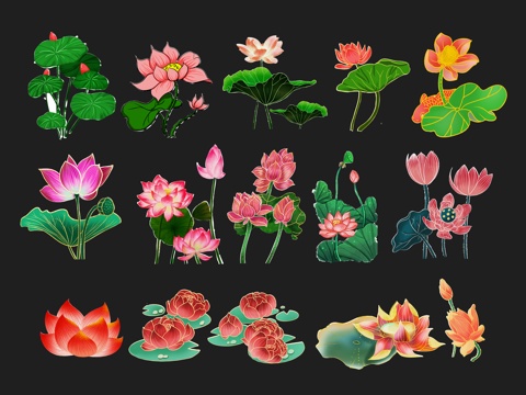 National tide carved flower, plant silhouette, lotus, lotus, lotus leaf, flower, national wind, carp, fish,