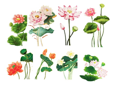 National tide carved flower, plant silhouette, lotus, lotus, lotus leaf, flower, national wind, carp, fish,