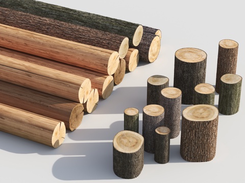 Modern Dead Wood Tree Segment Tree Pier Trunk Stakes Wood Pier Tree Pier