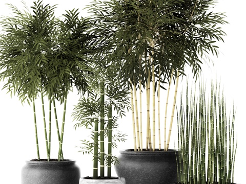 Neo-Chinese Style Bamboo Potted Plant