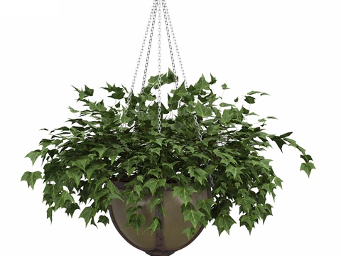 Hoisting flowerpot