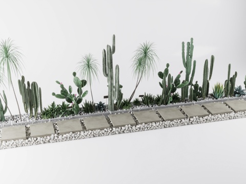 Stone pebbles cactus plant Ting step