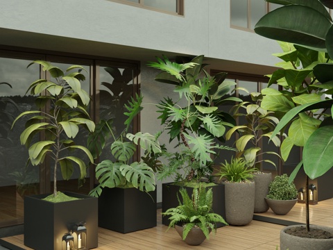 Modern potted plant combination