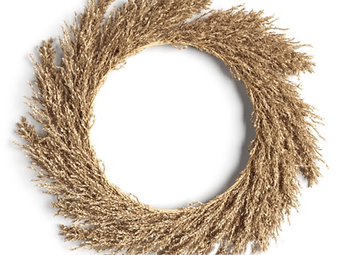 pendant plant pendant wall Wall Decor hay wreath