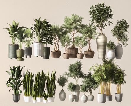 Modern potted plants