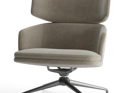 Modern Italian Piccadilly Molteni & C Armchair