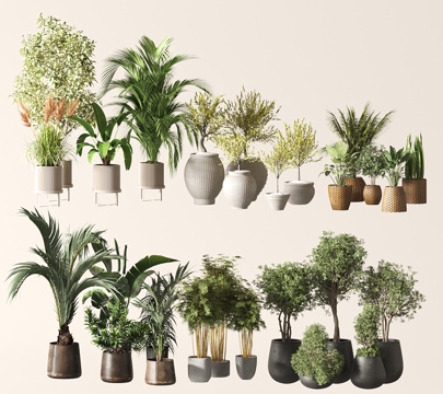 Modern potted plants