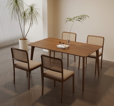 Modern Quiet Dining Table Chair