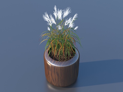 flowerpot potted plant green plant