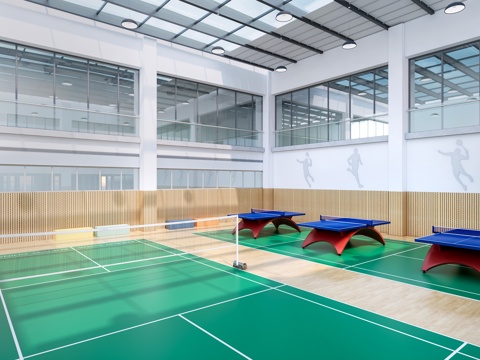 Modern indoor sports field, indoor badminton court, indoor table tennis court