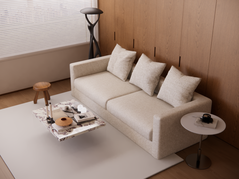 Modern sofa coffee table combination